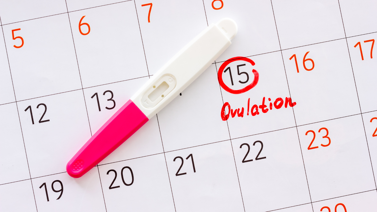 Indian couple using an ovulation tracking app to increase chances of conception at home