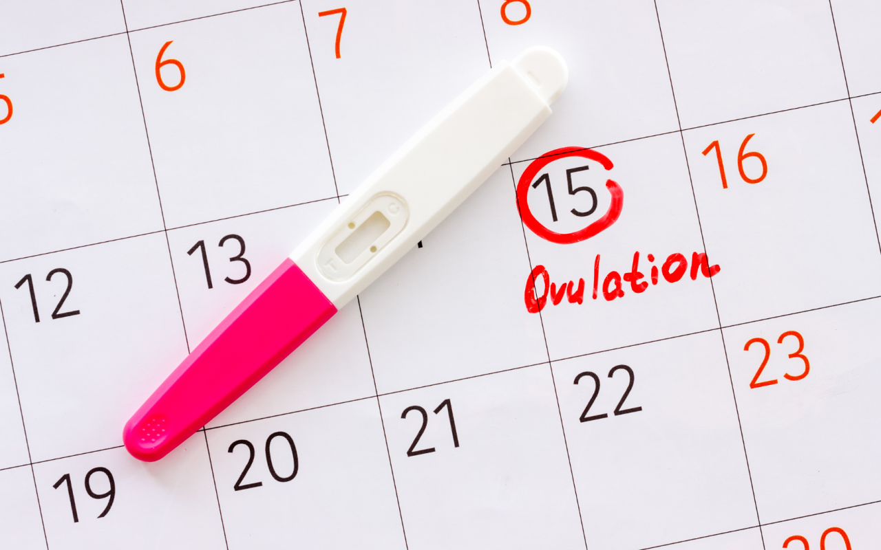 Indian couple using an ovulation tracking app to increase chances of conception at home