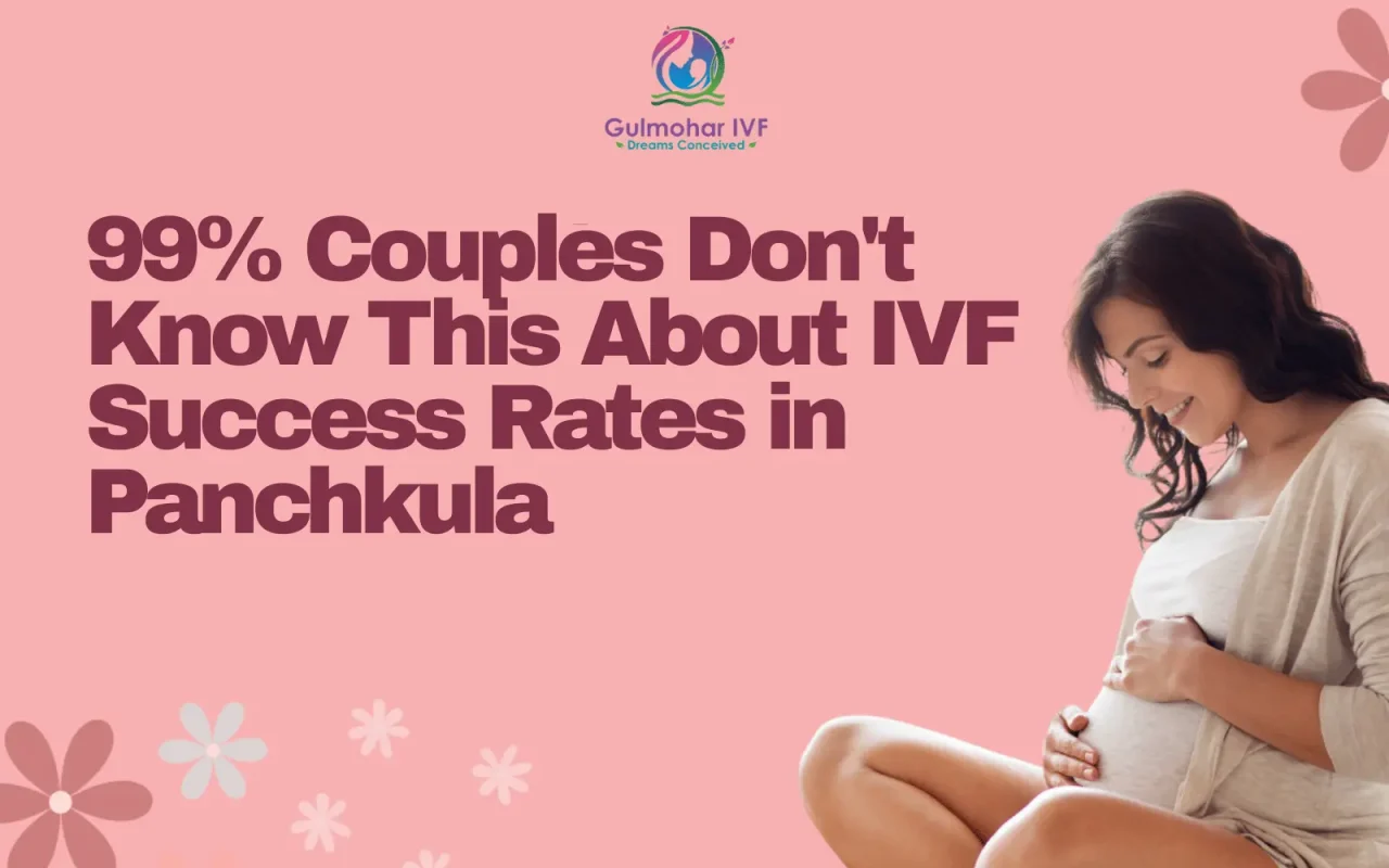 About IVF Success Rates in Panchkula